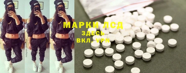 spice Алзамай