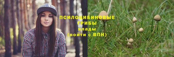 марки nbome Алексеевка