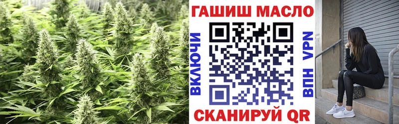 наркошоп  Грайворон  ТГК THC oil 
