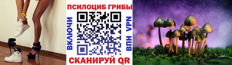Галлюциногенные грибы GOLDEN TEACHER Грайворон